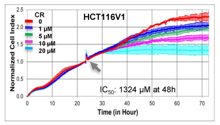 Real-time dynamic monitoring of the cytotoxic effects of CR on HCT116V1 (MLH1 proficient).jpg